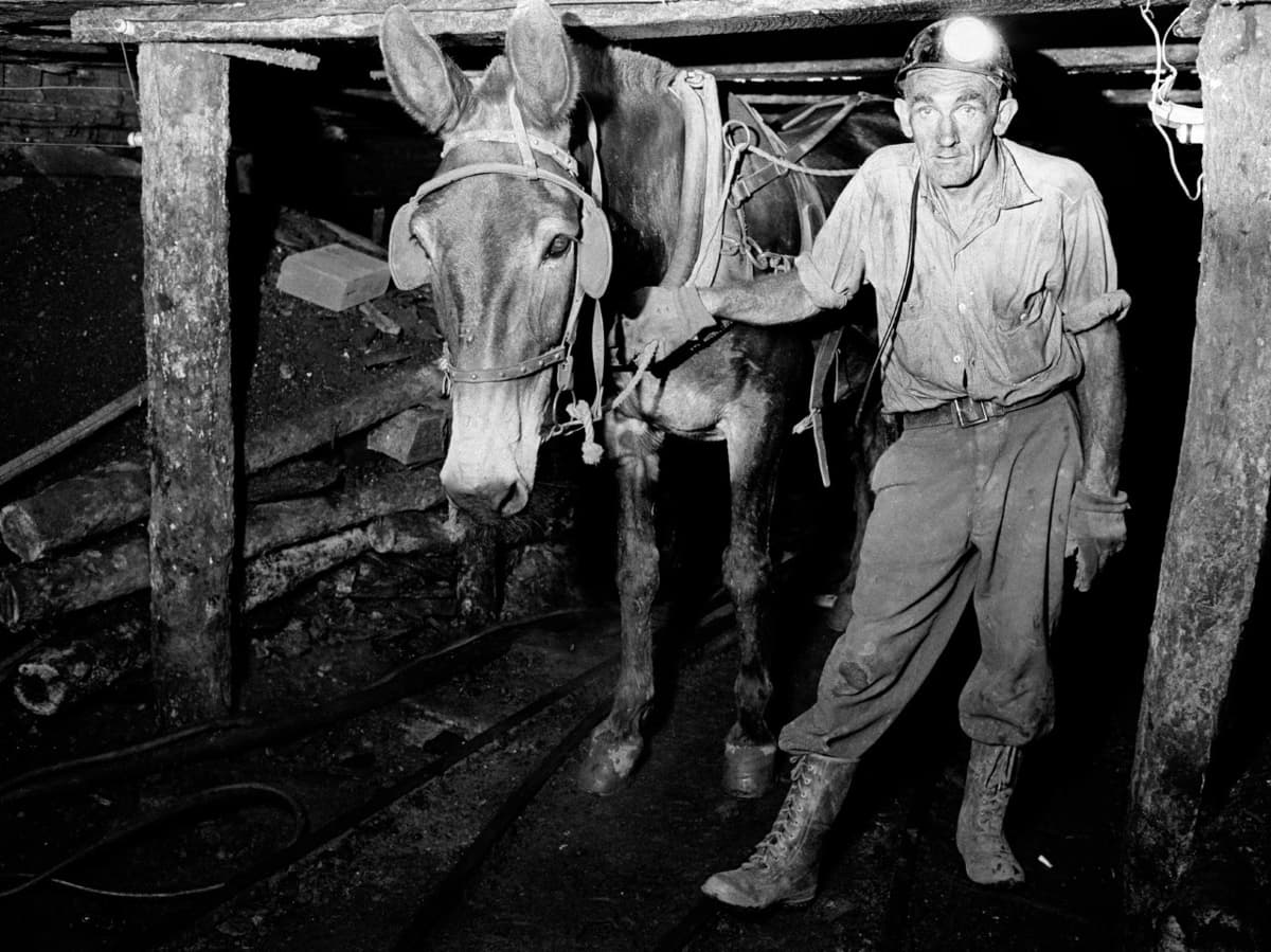 Welsh Miners, 1965